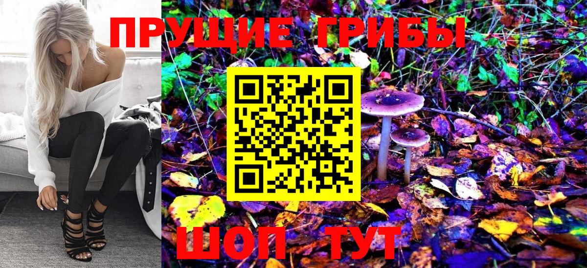 Асино  Псилоцибиновые грибы Psilocybe  Вход с VPN 