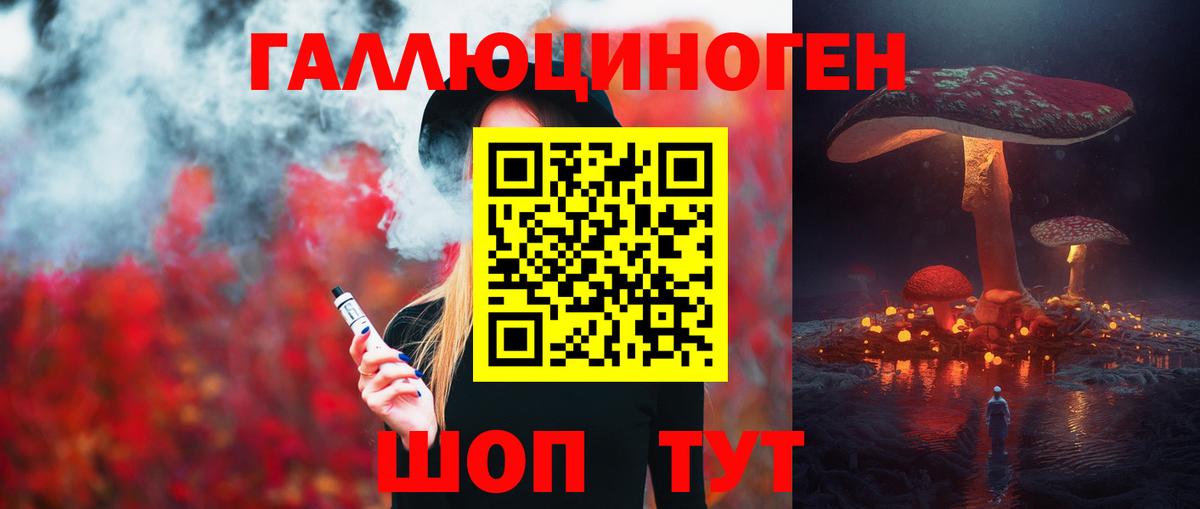 Псилоцибиновые грибы мицелий Асино