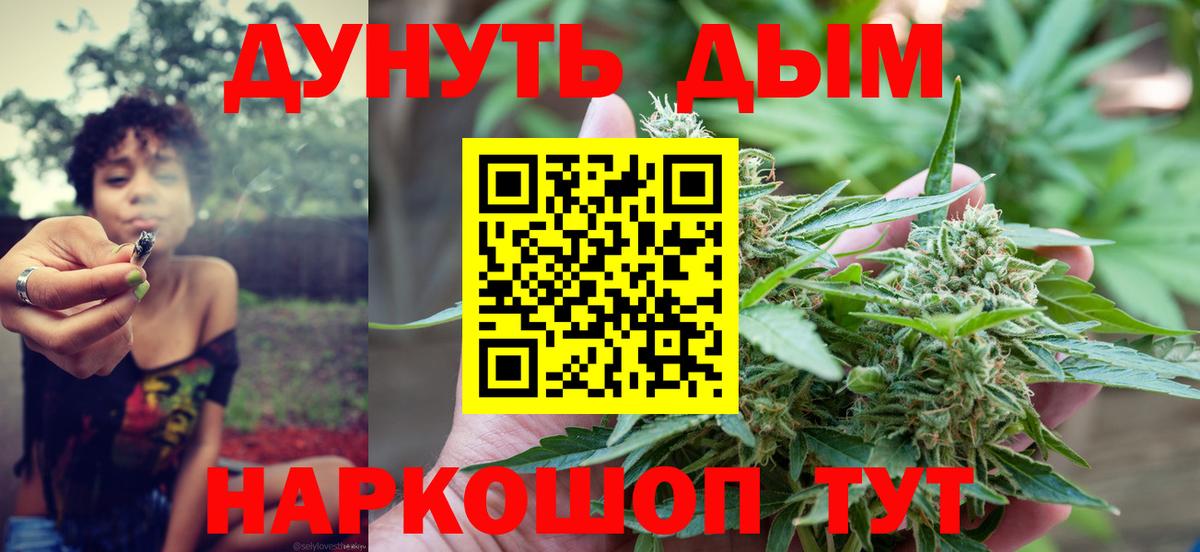Асино  Бошки марихуана планчик  Вход с VPN  Канабис сатива  Шишки марихуана ГИДРОПОН  Конопля MAZAR 